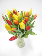 Load image into Gallery viewer, Segavärviline tulpide kimp