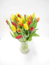 Load image into Gallery viewer, Segavärviline tulpide kimp