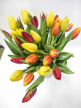 Load image into Gallery viewer, Segavärviline tulpide kimp