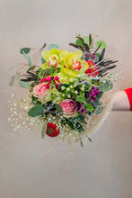 Load image into Gallery viewer, Meeleolukas