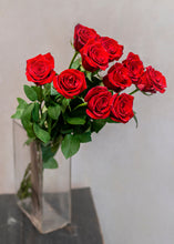 Load image into Gallery viewer, 10-30 punast pikka roosi