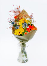 Load image into Gallery viewer, Pillerkaar