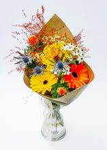 Load image into Gallery viewer, Pillerkaar