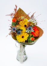 Load image into Gallery viewer, Pillerkaar